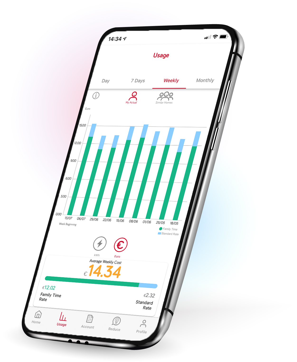 Fixed price ESB usage tracking