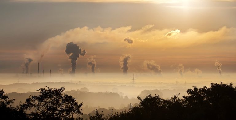 carbon tax guide for businesses